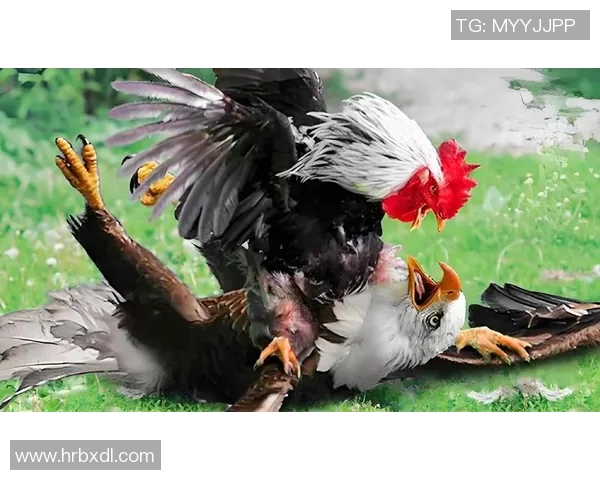 老鹰胜活塞,追赶排名前四:战斗精神的象征 老鹰胜活塞,追赶排名前四:战斗精神的象征